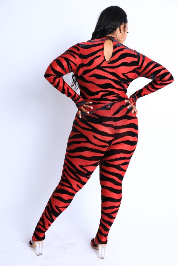 Plus Size Velvet Zebra Nylon Mesh Bodysuit Set